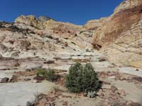 35-scenic_view_looking_back