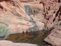 40-more_water_and_dry_waterfalls-haven't_seen_this_much_water_on_a_hike_for_long_time