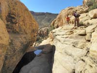 41-Ed_and_Luba_walking_on_ledge_above_another_tank_that_usually_has_water_since_shaded