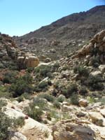 43-heading_back_to_trail