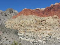 45-zoom_of_what_we_just_scrambled_and_greatly_enjoyed