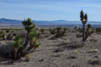 07-looking_back_to_Las_Vegas_Valley