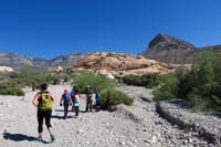 04-heading_up_wash_with_Turtlehead_Peak_in_distance-nice_cool_mid_May_day-odd_for_season