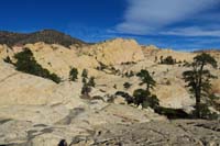 20-very_neat_to_see_pockets_of_forested_area_mixed_in_with_sandstone