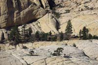 52-pocket_of_forested_area