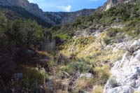 60-reached_the_source_of_water_for_Waterfall_Canyon-very_nice_wetland_type_area