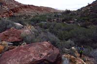 27-bushwacked_and_went_around_some_obstacles-heading_back_into_the_wash