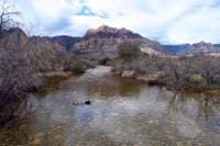 31-pretty_scenery_looking_up_Pine_Creek