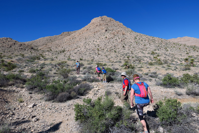 05-group_heading_up_drainage