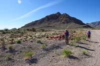 02-checking_out_a_cactus_garden_planted_by_someone-Mount_Golden_Eage_in_background