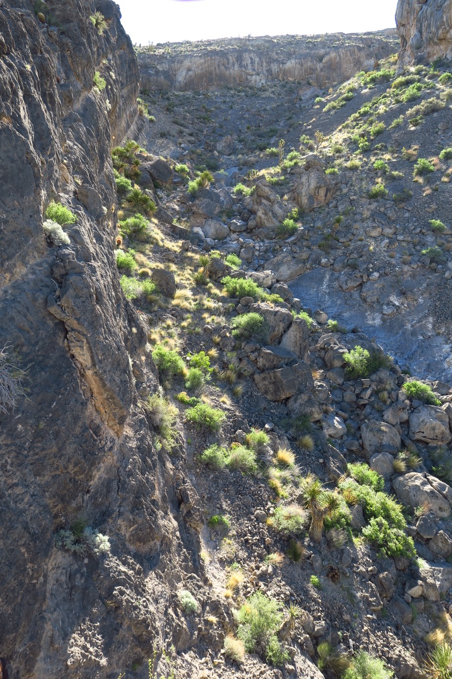 08-view_of_the_canyon_drainage