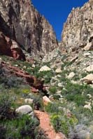 26-Black_Velvet_Canyon