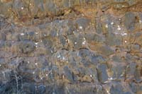 12-spotty_quartite_in_the_limestone-very_interesting_and_uncommon