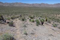 29-encountered_game_trail_to_car-only_room_for_one_vehicle_to_park