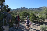 06-group_rambling_through_brush_along_the_way_to_a_ridgeline