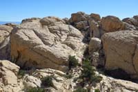 33-away_we_go_as_the_adults_catch_up_to_the_kids