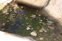 46-surprisingly_came_across_a_tenaja_with_water_in_it-didn't_go_down_to_see_shrimp_or_toads