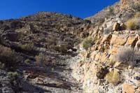 59-looking_back_to_what_we_descended