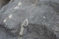 73-ocean_fossils_in_limestone_rock