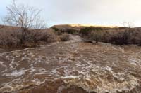 26-Pine_Creek_flooding_over_road-we_are_in_middle_of_the_flood-looking_downstream