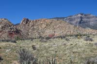 32-White_Rock_Springs_Peak_from_further_away