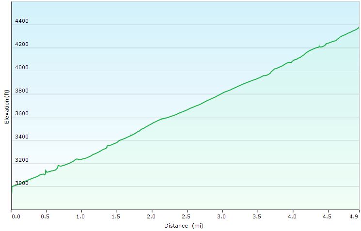 72-dirt_road_profile