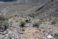 45-still_good,low_class_3,hoping_we_don't_cliff_out