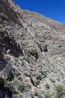 49-we_now_see_that_lonely_pinyon_from_different_perspective_showing_way_we_went_up