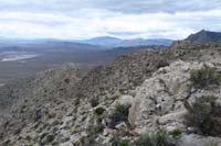 060-Orca-The_Whale_to_it's_left