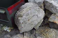 062-lots_of_lady_bugs_on_Gottlieb_Peak