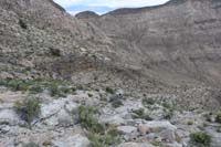 080-continuing_on,still_good