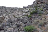 087-looking_back_to_what_we_descended