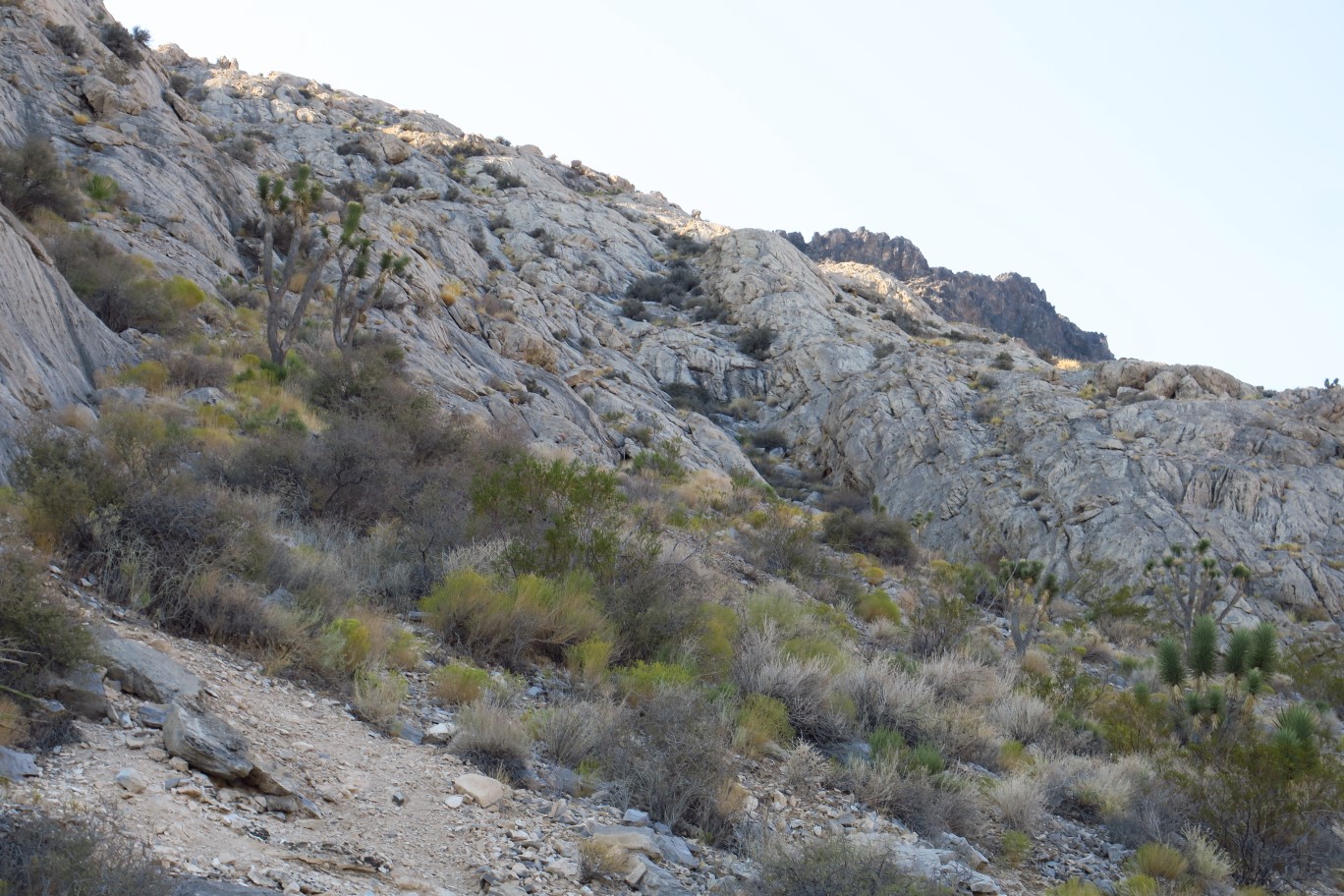 12-zoom-heading_that_way