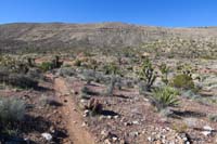 08-trail_curves_to_the_left,but_a_dirt_road_ahead_looks_like_a_viable_trail_to_explore_another_day