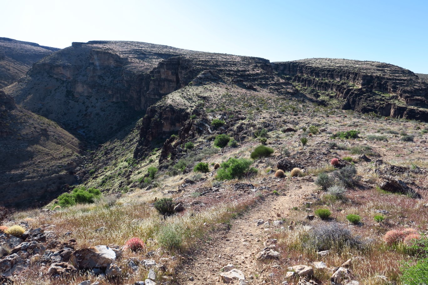015-Bone_Shaker_trail_continues_up