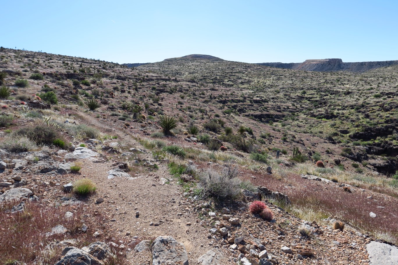 025-scenery_along_the_trail
