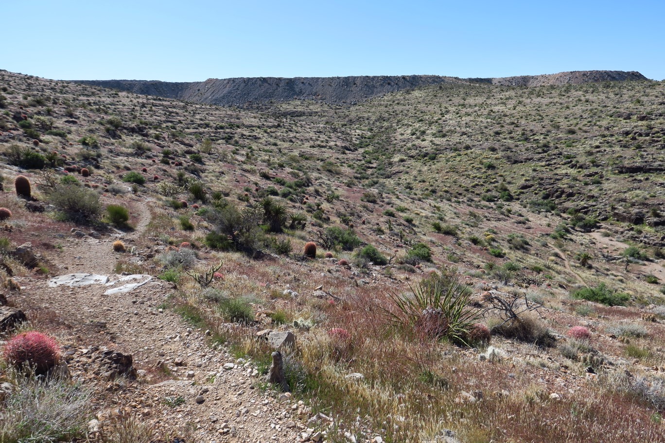 026-scenery_along_the_trail