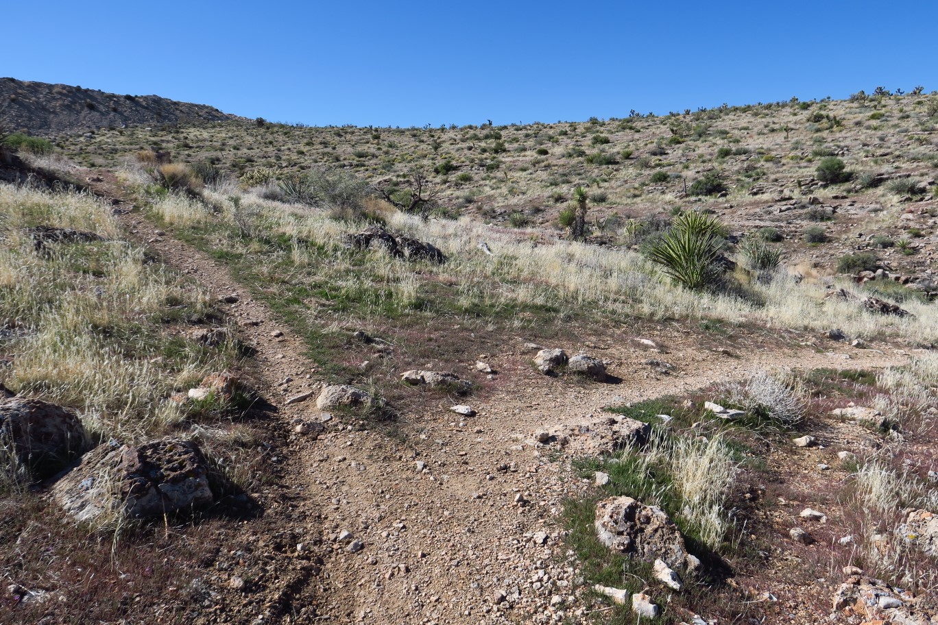 029-SARS-Midas TJ-continuing_straight_starting_Midas