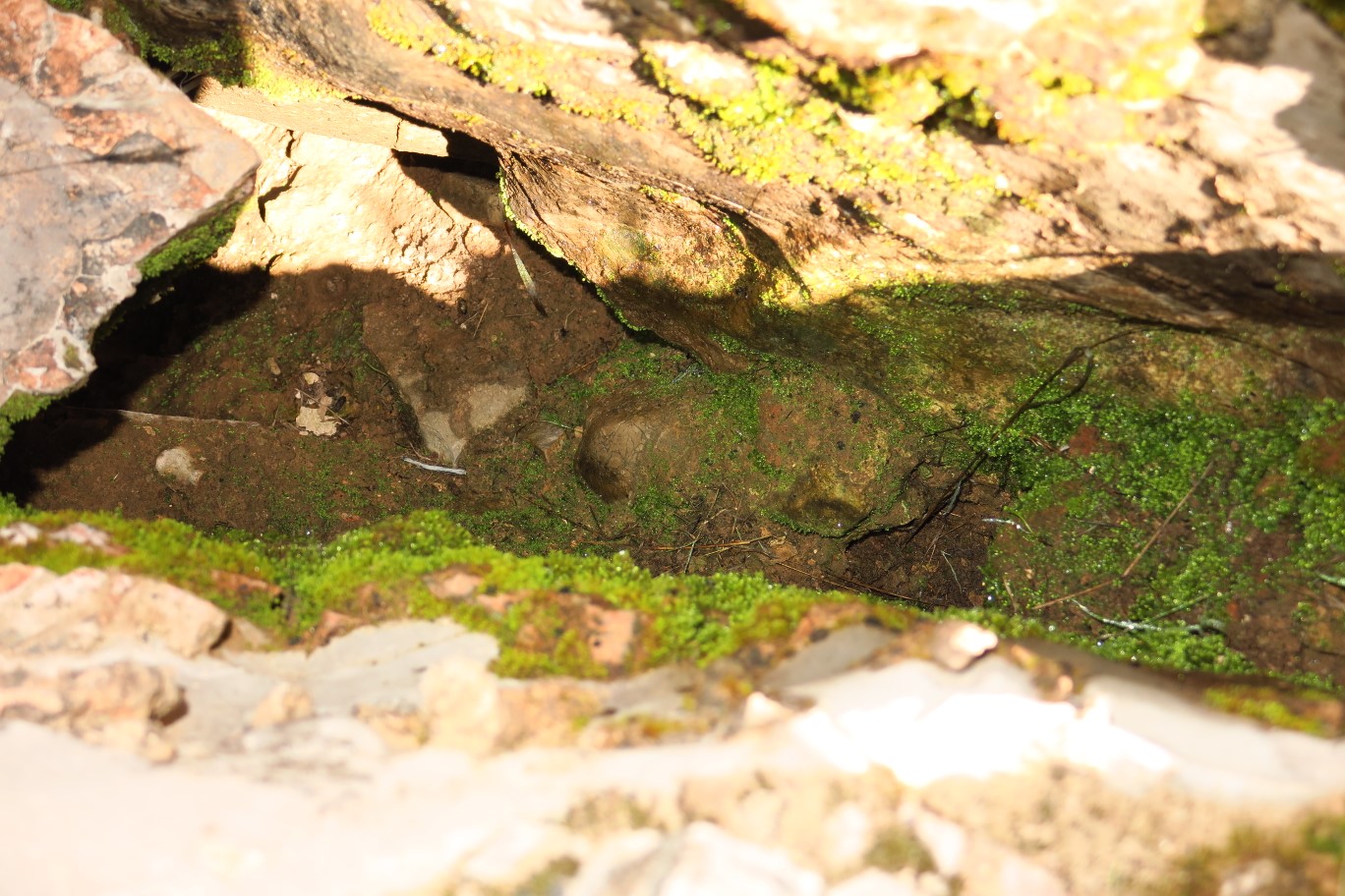 093-another_steam_vent