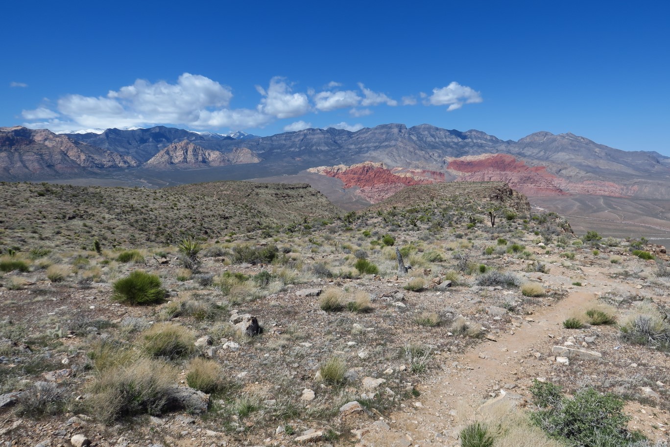 098-scenic_view_along_Ridge_trail