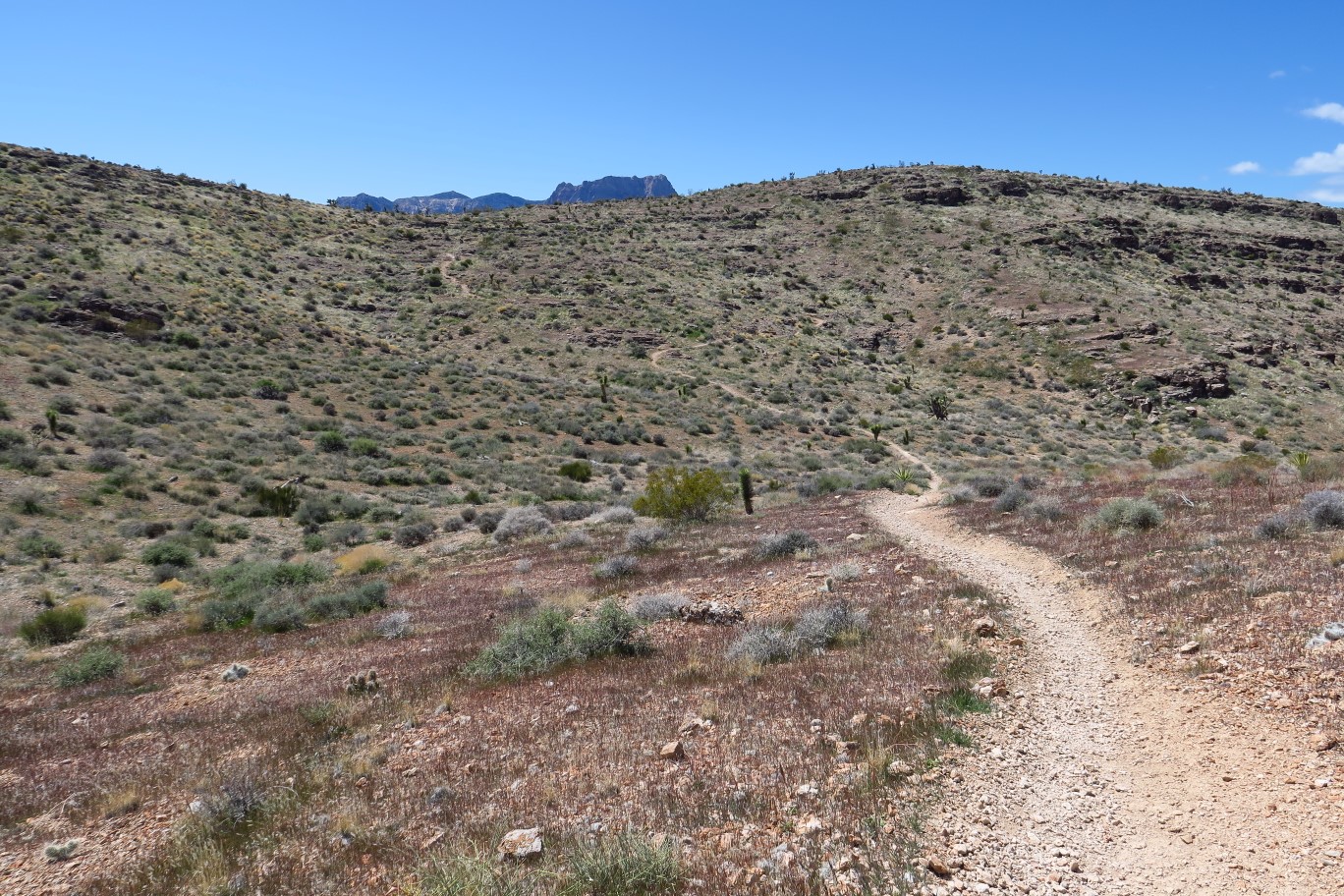 101-scenery_along_Three_Amigos_Trail