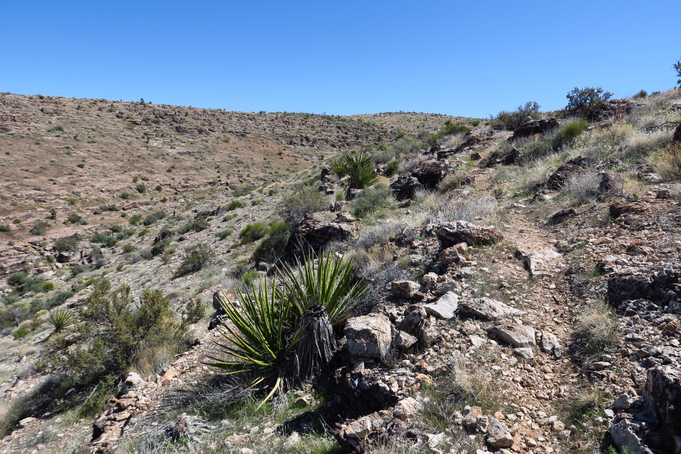 105-scenery_along_Bomb_Voyage_Trail