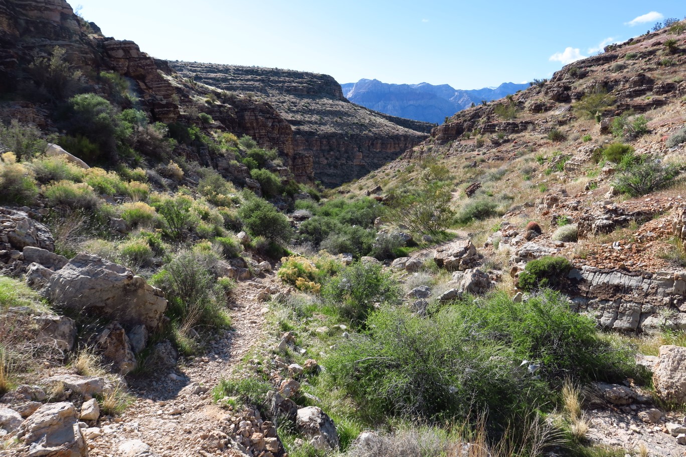 139-very_nice_greenery