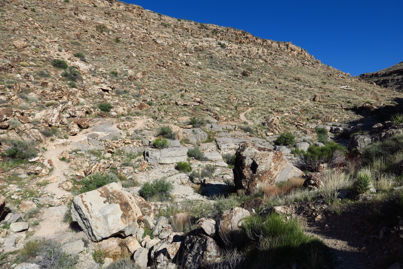 144-scenic_view_looking_back