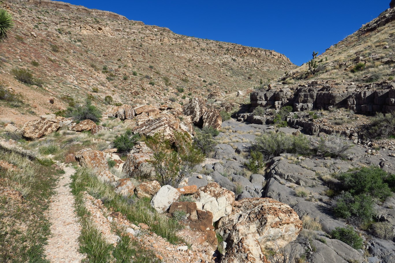 145-scenic_view_looking_back