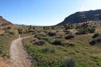 005-Bone_Shaker-Rock_Garden_TJ-continuing_along_Bone_Shaker_prominent_trail_to_R