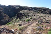 015-Bone_Shaker_trail_continues_up