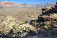 016-looking_back-trail_diverges,take_west_option_since_less_rocky