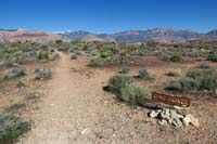 024-looking_back_to_Bone_Shaker-Radio_Tower_TJ-end_of_Bone_Shaker_Trail