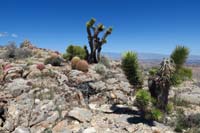 079-four_small_steam_vents_about_70_feet_north_of_Radio_Tower-Ridge1_TJ